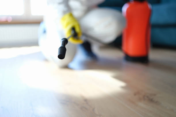 Best Real Estate Mold Inspection  in Young Harris, GA